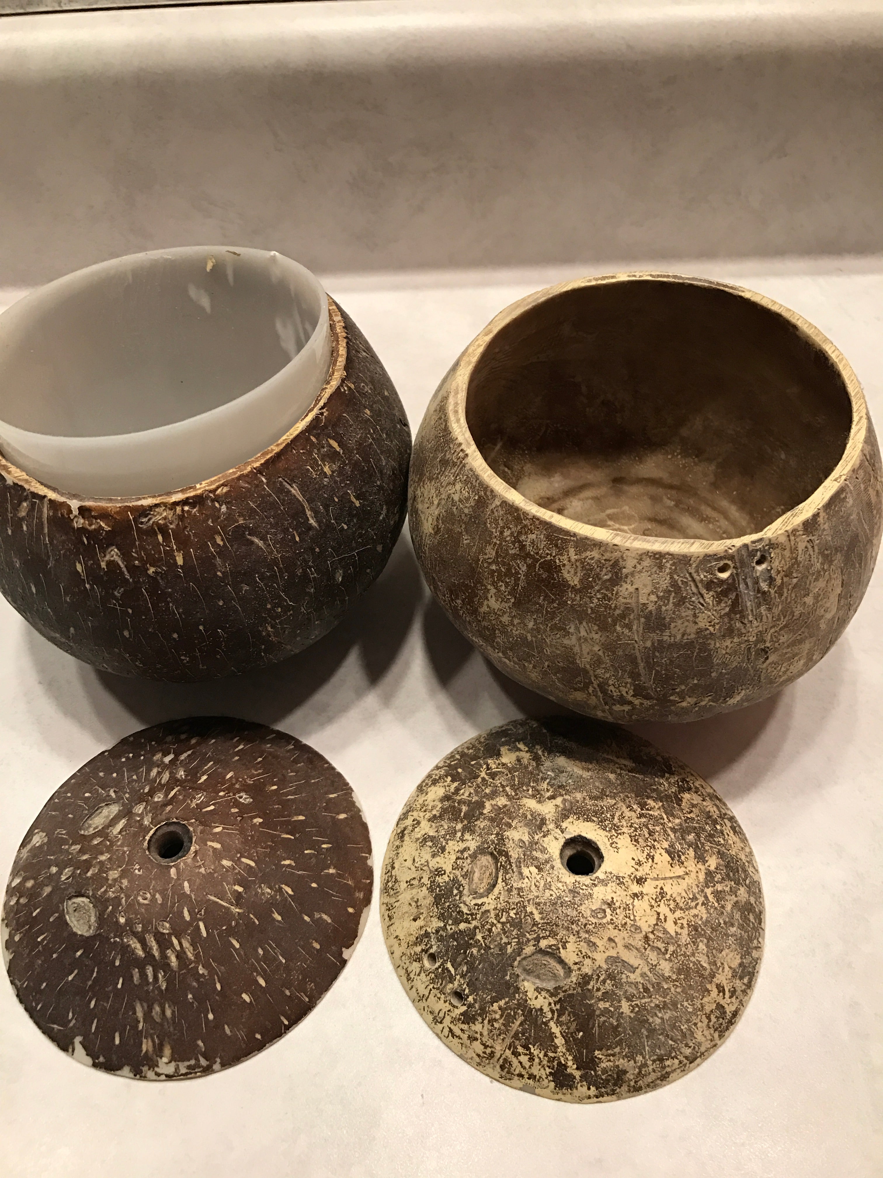 Coconut Shell soap dish