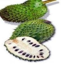 Soursop Bitters