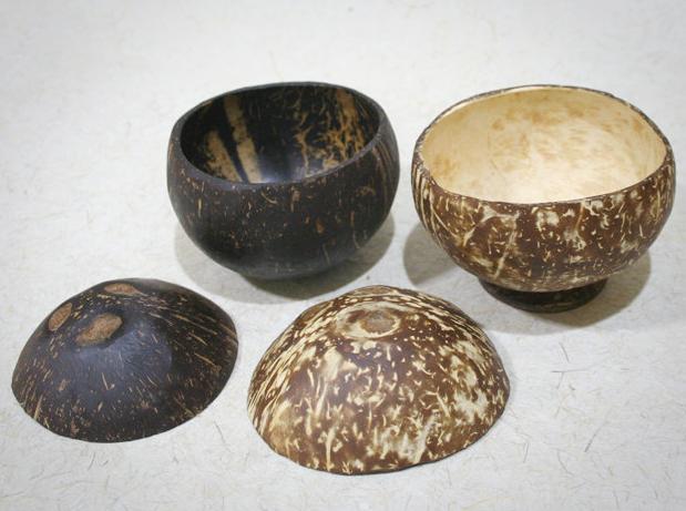 Coconut Shell soap dish
