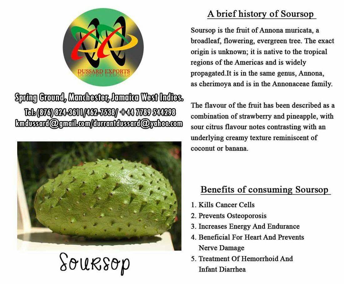 Soursop Bitters