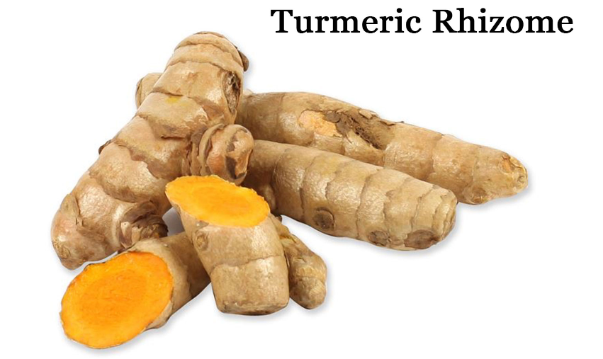 Turmeric Root powder