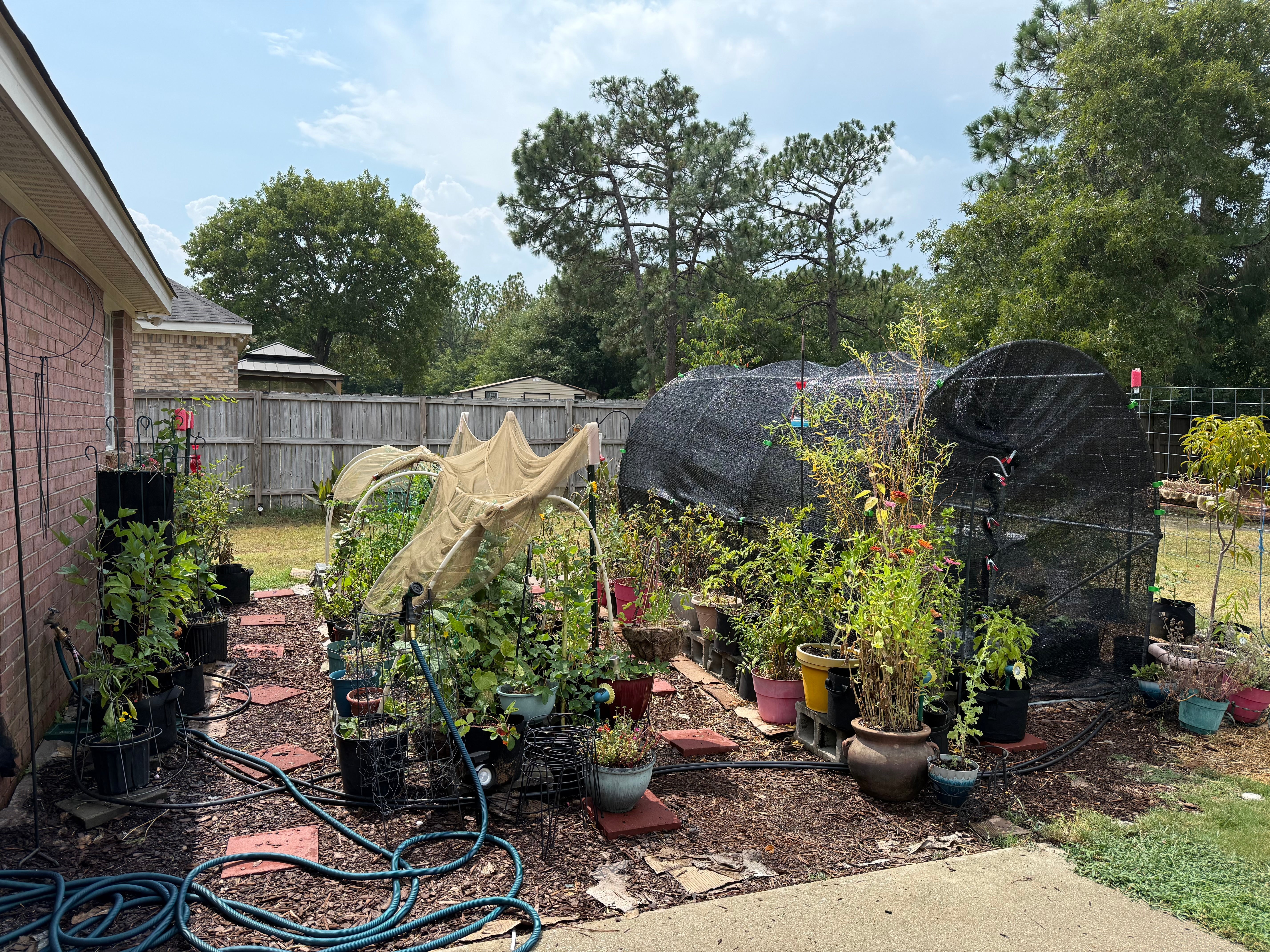 Zone 8 July Garden Reset