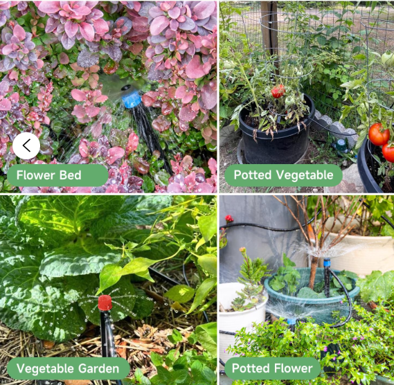 Installing an Irrigation System for My Container Garden