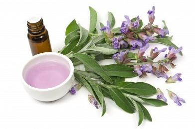 Sage Smudge Spray: A Smoke-Free Way to Refresh Your Space 🌿