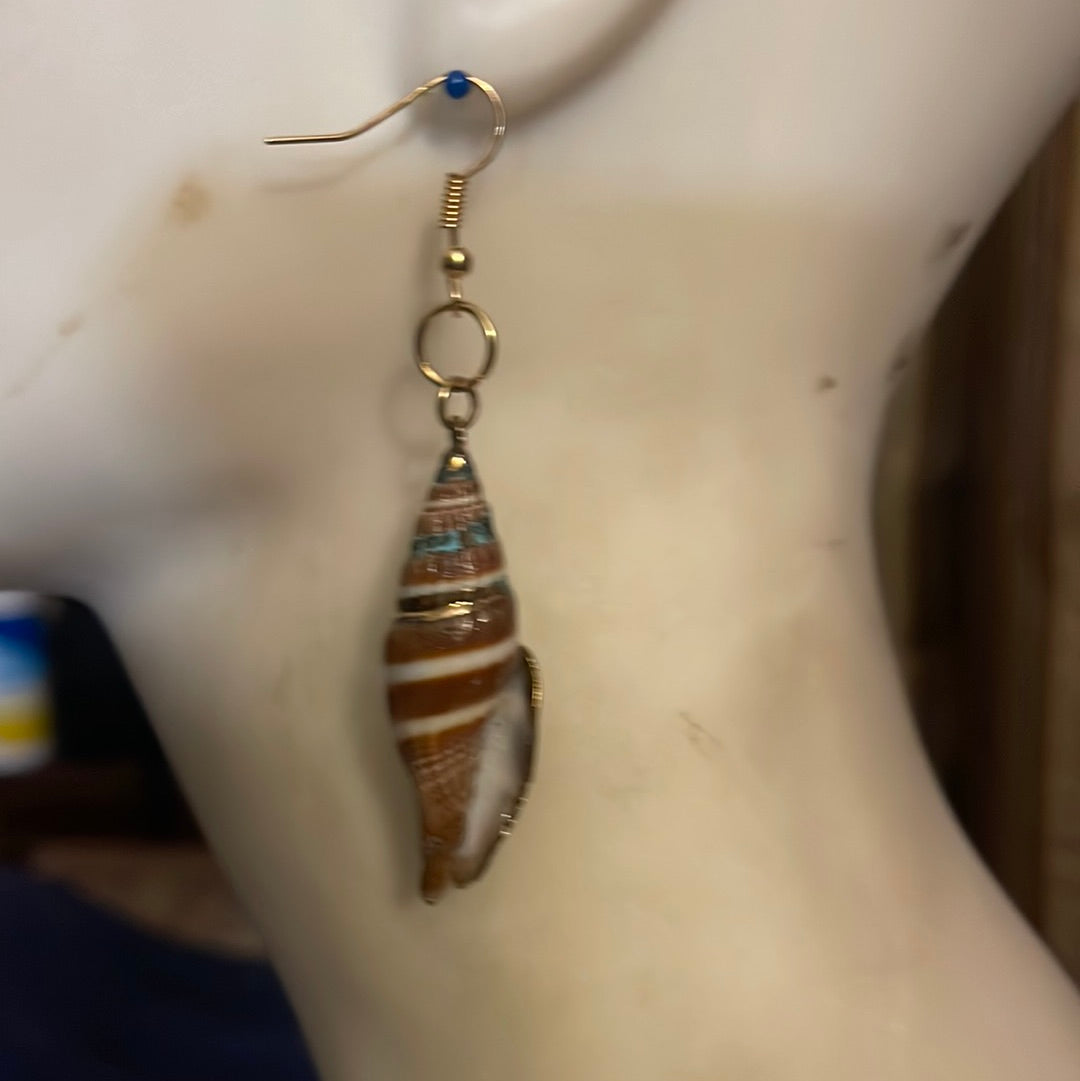 #307 Puca Shell earrings