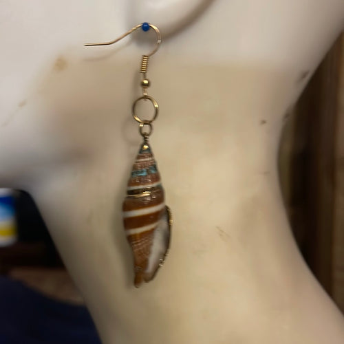 Puca Shell earrings