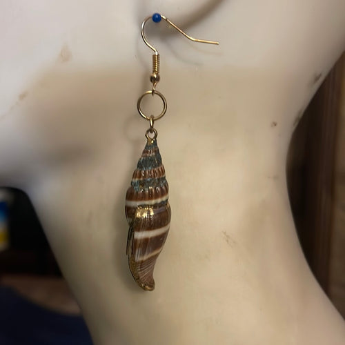 Puca Shell earrings