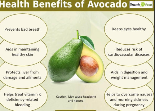 Avocado Oil