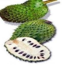 Soursop Powder (Graviola Leaf)