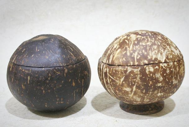 Coconut Shell soap dish