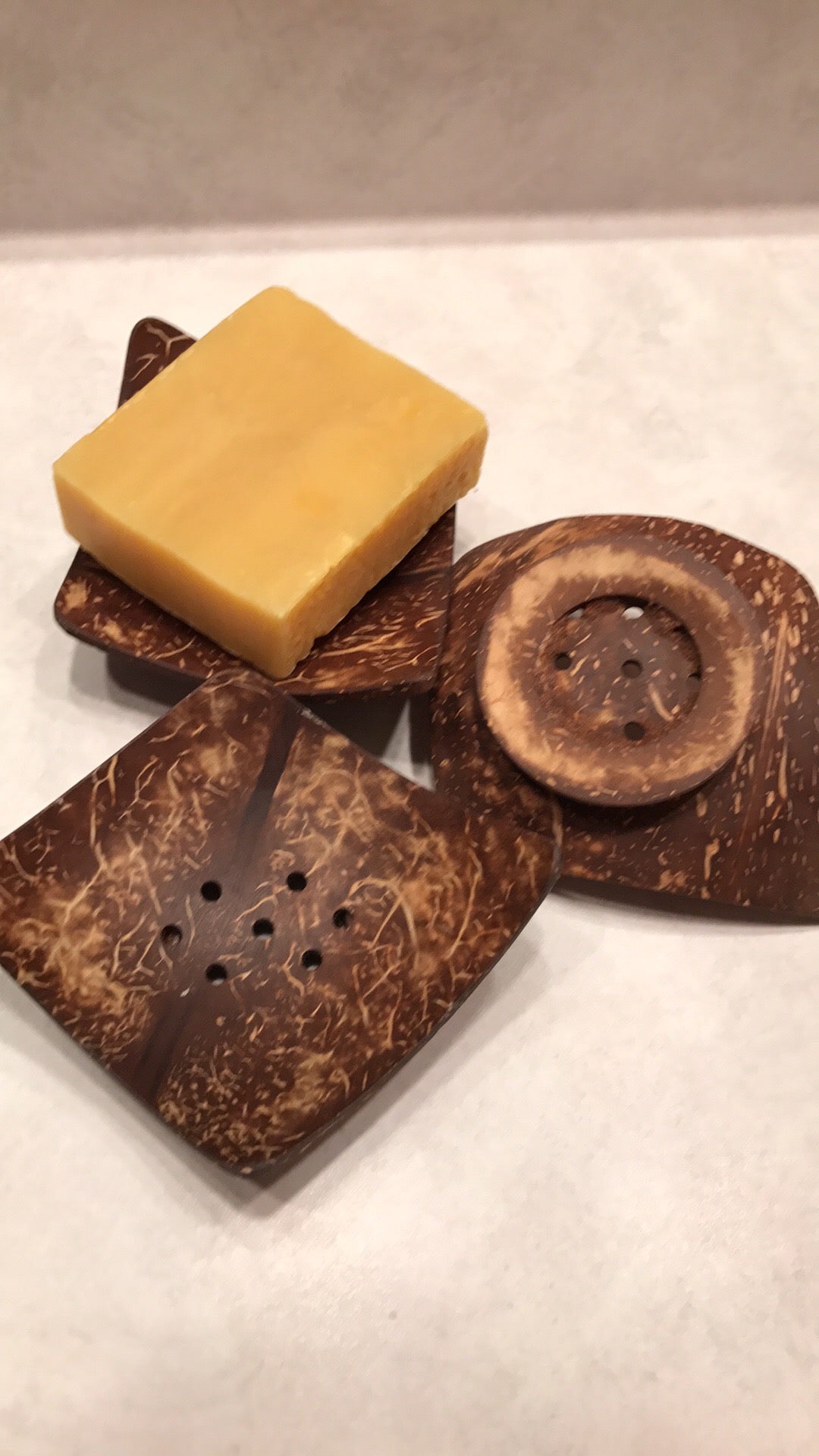 Coconut Shell soap dish