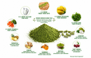 Power Greens Plus (Organic)