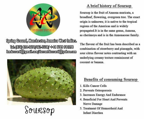 Soursop Powder (Graviola Leaf)