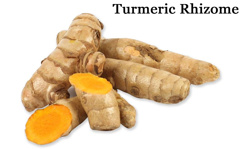 Turmeric Root c/s