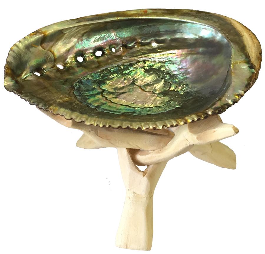 Abalone Shell on stand